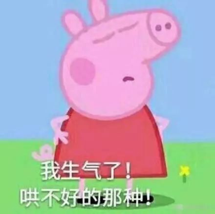  小猪佩奇火了,又一只让你欲罢不能的超级萌物