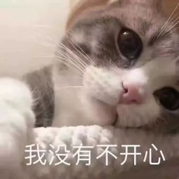  最近火了wink表情包,小仙女专属,男神一眼就沦陷