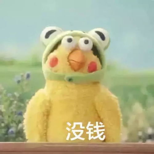 小鹦鹉表情包q版头像