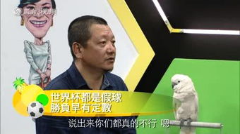  王小山世界杯就是局赌博公司控制输赢
