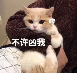 小姐姐这两个字怎么念呀老公小奶猫我莫得感情,也莫得耳朵 小姐姐这两个字怎么念呀老公小奶猫我莫得感情,也莫得耳朵