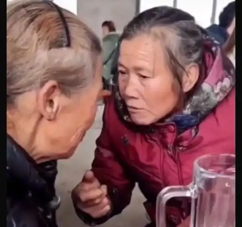 免费领了10个鸡蛋,却付出了惨痛代价,许多老人已经上当受骗 免费领了10个鸡蛋,却付出了惨痛代价,许多老人已经上当受骗