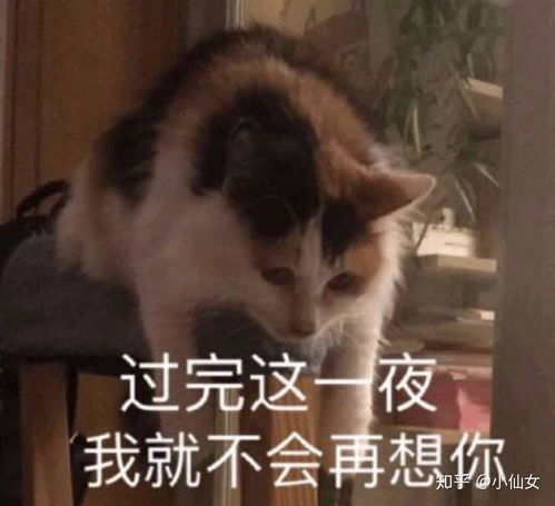 聊天表情包一整套