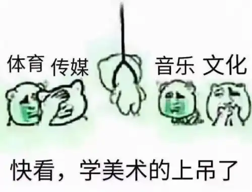 麻痹的表情包艺术生