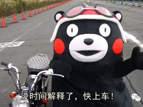  超萌熊本熊表情包,拿去跟爸妈卖萌