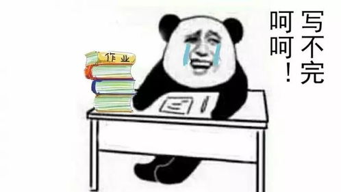 生日斗图表情包文洁