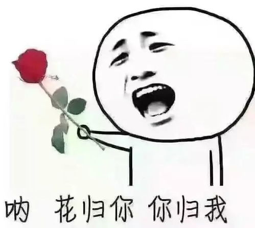  护士和医生谈恋爱,看完哈哈哈哈哈哈哈