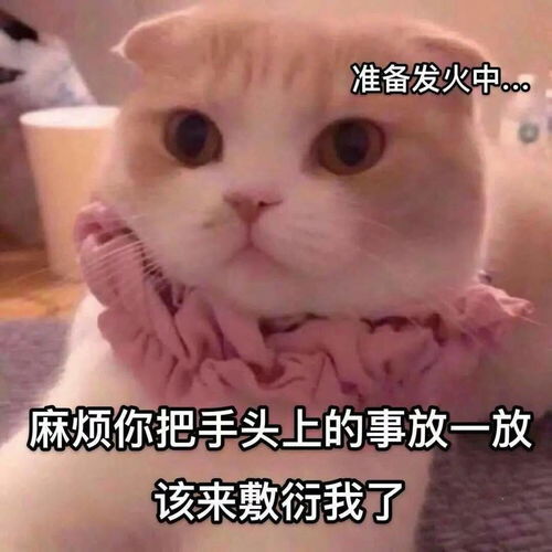  情侣万能聊天表情包老子的爱收好