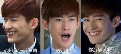 我贼6表情包我是