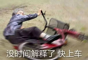 追风少年刘全有表情包哈哈哈