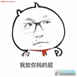  孙亚龙笑笑表情包下载飞翔下载