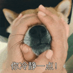 张学友表情包抖音gif偶