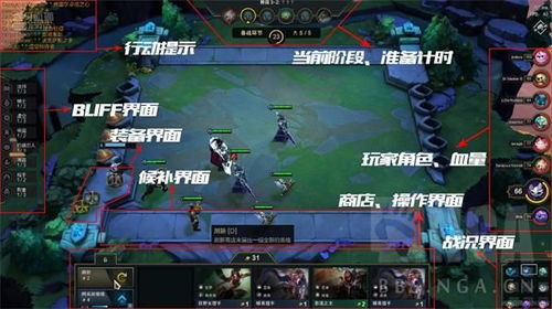  表情lol云顶之弈阵容选择攻略英雄联盟云顶之弈英雄棋子推荐99单机游戏表情