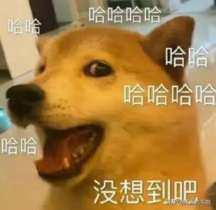 幸福转圈圈表情包哎呀