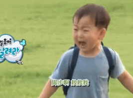  活在我们表情包里的宋民国,已经八岁了