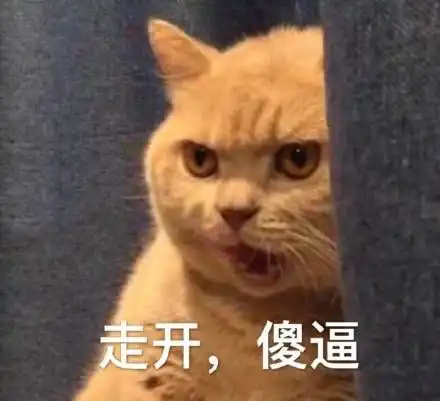  我妈不让我跟傻子玩表情包