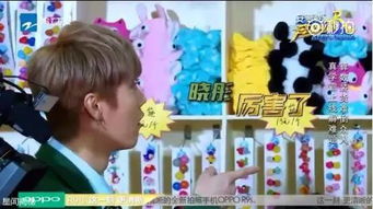  二元一次方程都不会解,邓超还怎么卖学霸人设啊