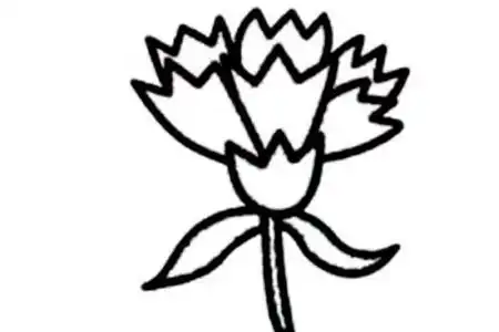  其他植物简笔画