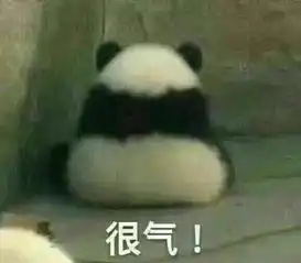 国宝骨折了,为了治疗它兽医只好把它的裤子给扒了 国宝骨折了,为了治疗它兽医只好把它的裤子给扒了