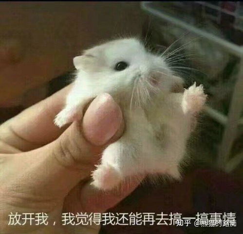  有哪些自信满满让人喜欢的励志句子