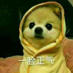  路痴跪求北京大北关村到751d的路线公交地铁或打车都可以