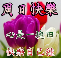 早上好问候语表情大全