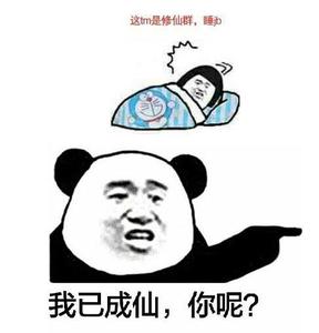  修仙表情包不睡觉修仙表情包黑眼圈熊猫修仙表情包