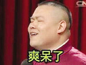  岳云鹏在欢乐喜剧人的表现比曹云金,何云伟,高晓攀如何