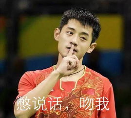  感恩2016里约奥运会,为大家收获了一大批男神老公段子手国民cp
