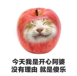  暑假留校指南不得不看的生存手册祝所有邮子有一个愉快充实的暑假
