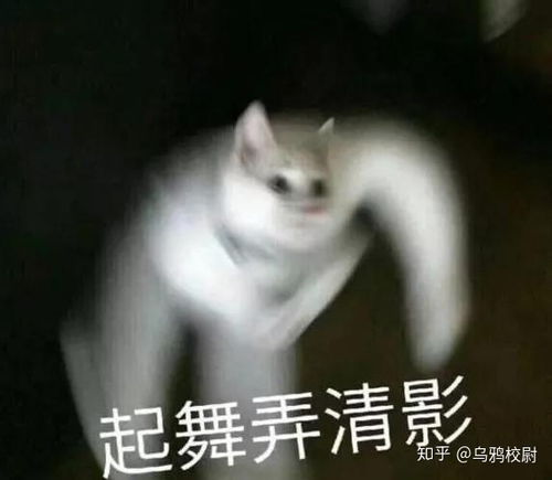  带薪摸鱼指南