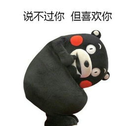  熊本熊撩哥,擦,我休息会