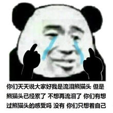  搞笑表情包大家好,我是流泪熊猫头