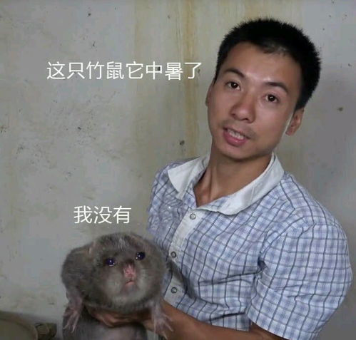  土拨鼠小姐姐带你用医学生视角看工作细胞第十一话9.18