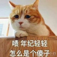 大傻子三个字表情包微信头像图片大全 大傻子三个字表情包微信头像图片大全