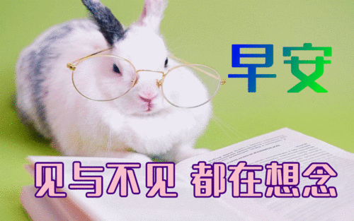 5月17日最漂亮早上好动态表情图片大全,早晨好动图美图大全 5月17日最漂亮早上好动态表情图片大全,早晨好动图美图大全