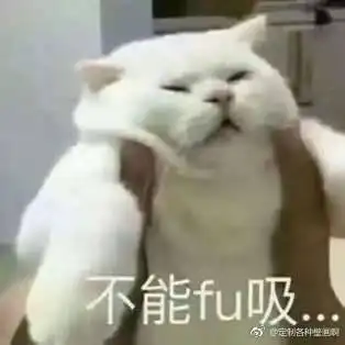  养的仓鼠怀孕了怎么办这几件事情一定不要做
