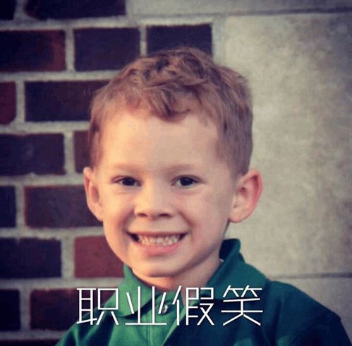  世界杯16强对阵出炉,绝妙表情包告诉你哪两只球队是黑马
