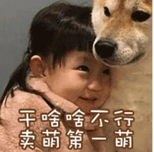  超多系列表情包来啦