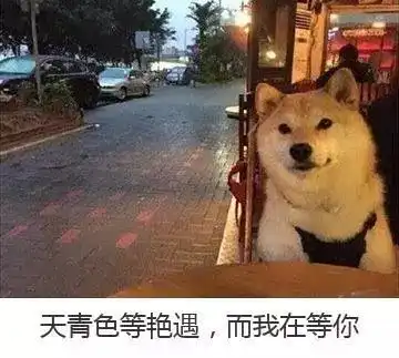 今天,你跨界了吗 今天,你跨界了吗