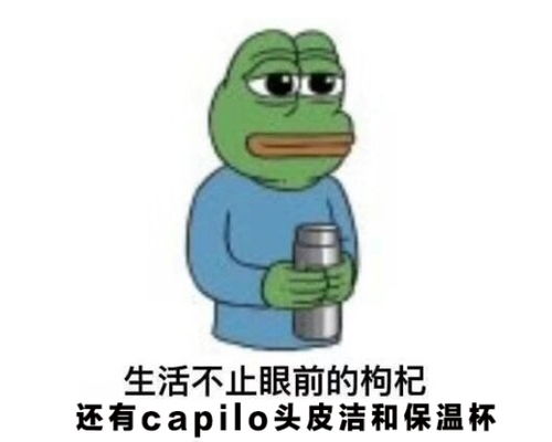  头皮干燥该用什么产品好不是头屑多