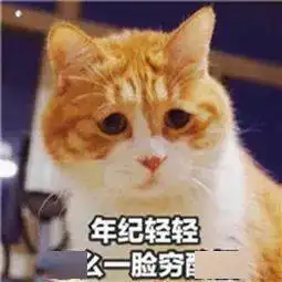 合理消费这个双十一,我不要做剁手党