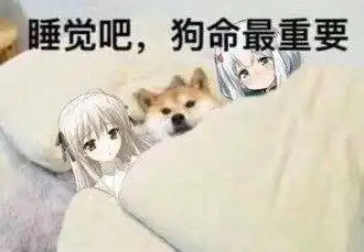 晚安吉祥表情包图片