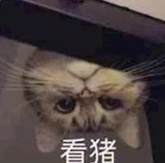  同是天涯沦落g,相逢谁都瞧不起谁......