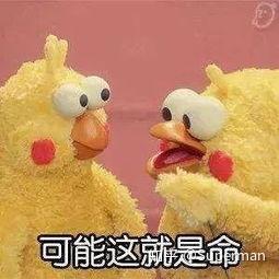  更新appleid一直转圈怎么回事