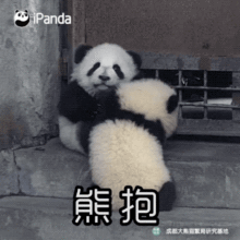  get萌宝表情包,称霸熊友圈