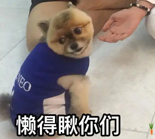 给湾仔们开个表情包楼持更新图补评论里 给湾仔们开个表情包楼持更新图补评论里