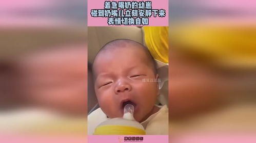  着急喝奶的幼崽,碰到奶嘴儿立刻安静下来,表情切换自如