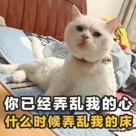  有什么可以甜到男孩子的情话