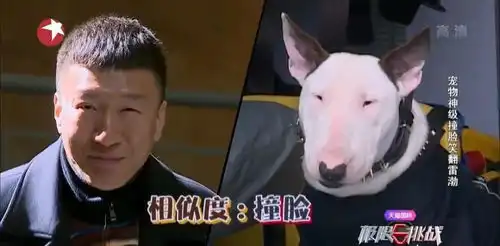 极限挑战再换血引争议,黄磊罗志祥张艺兴退出原因全分析 极限挑战再换血引争议,黄磊罗志祥张艺兴退出原因全分析